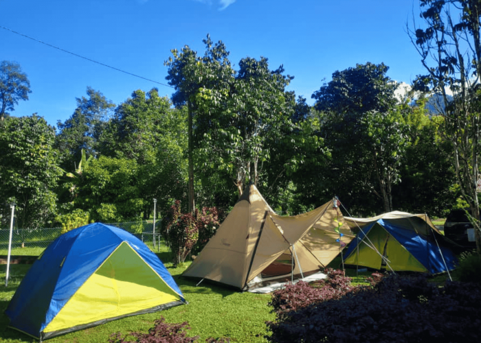 Screenshot 2025-01-09 at 4.23.46 PM